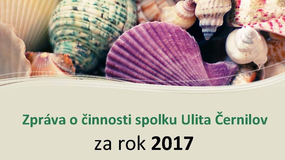 Zpráva o činnosti spolku Ulita Černilov za rok 2017 