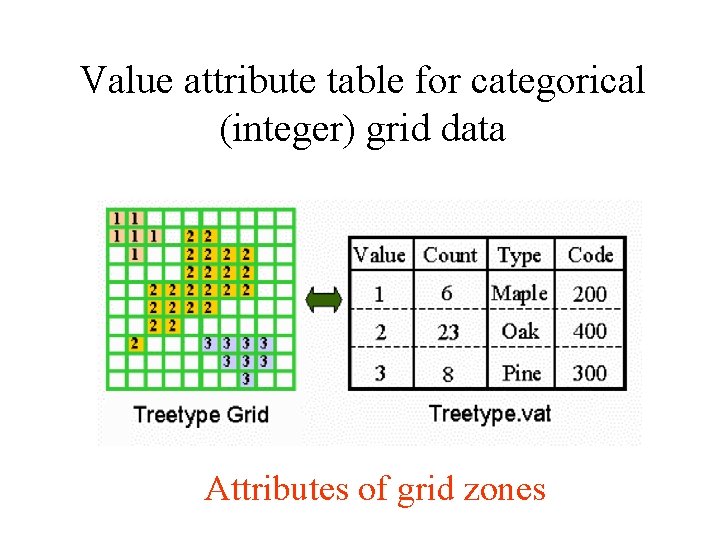 Value attribute table for categorical (integer) grid data Attributes of grid zones 