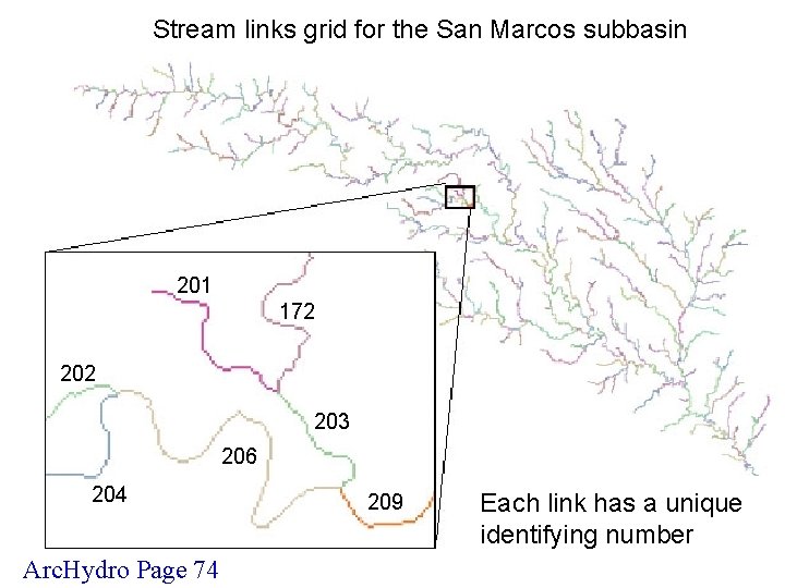 Stream links grid for the San Marcos subbasin 201 172 203 206 204 Arc.