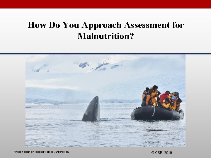 How Do You Approach Assessment for Malnutrition? Photo taken on expedition to Antarctica ©