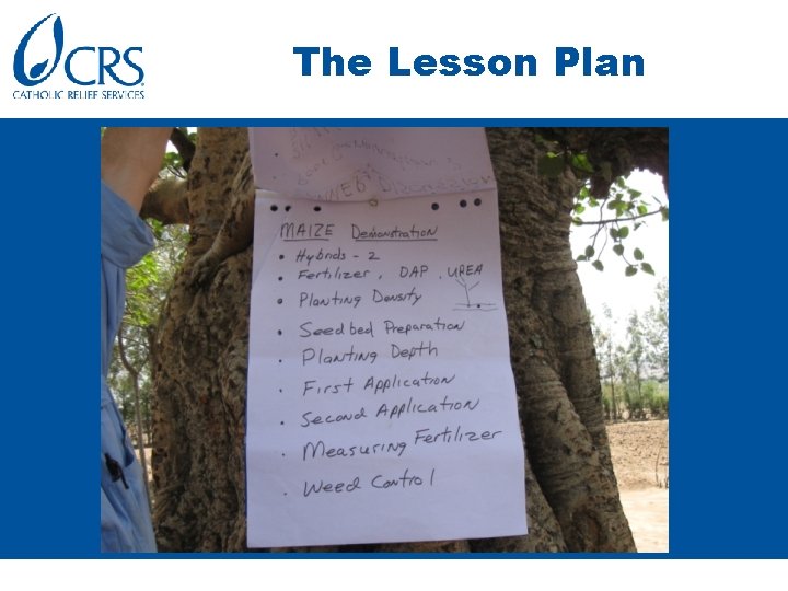 The Lesson Plan 