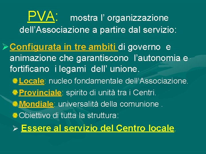 PVA: PVA mostra l’ organizzazione dell’Associazione a partire dal servizio: Ø Configurata in tre
