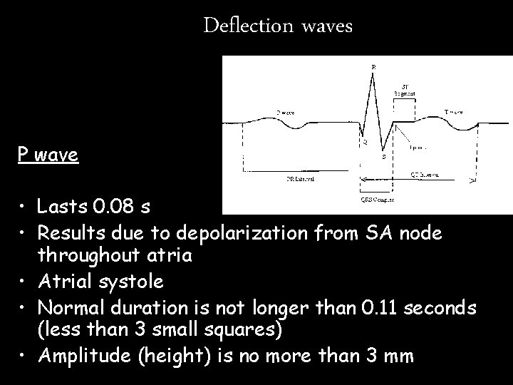 Deflection waves P wave • Lasts 0. 08 s • Results due to depolarization Deflection waves P wave • Lasts 0. 08 s • Results due to depolarization