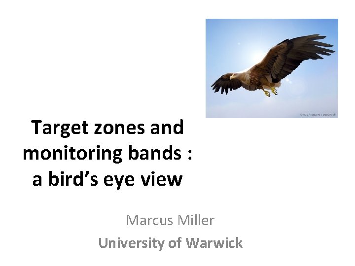 Target zones and monitoring bands : a bird’s eye view Marcus Miller University of