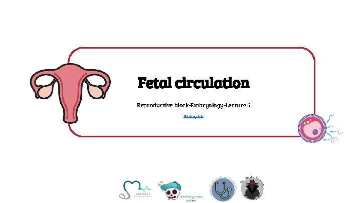 Fetal circulation Reproductive block-Embryology-Lecture 6 Editing file 