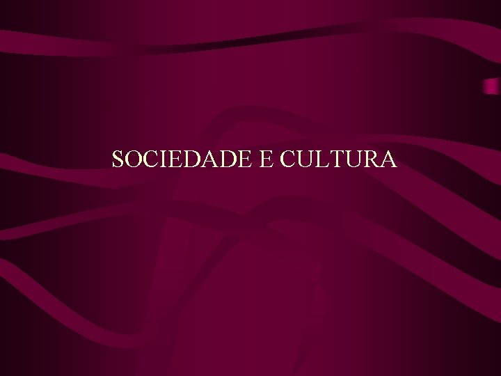 SOCIEDADE E CULTURA 