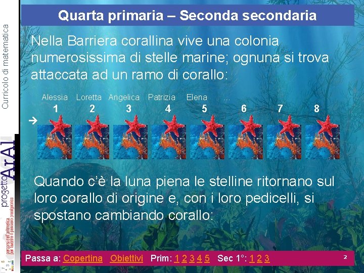 Curricolo di matematica Quarta primaria – Seconda secondaria Nella Barriera corallina vive una colonia