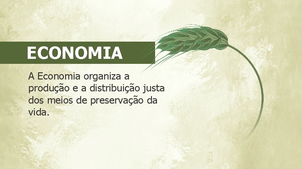 ECONOMIA A Economia organiza a produção e a distribuição justa dos meios de preservação