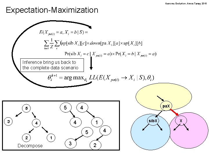 Genome Evolution. Amos Tanay 2010 Expectation-Maximization Inference bring us back to the complete data