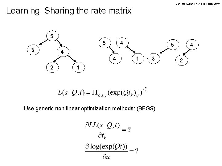 Genome Evolution. Amos Tanay 2010 Learning: Sharing the rate matrix 5 5 3 4