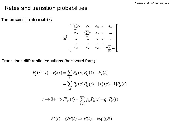 Genome Evolution. Amos Tanay 2010 Rates and transition probabilities The process’s rate matrix: Transitions