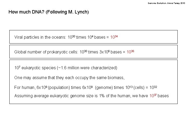 Genome Evolution. Amos Tanay 2010 How much DNA? (Following M. Lynch) Viral particles in