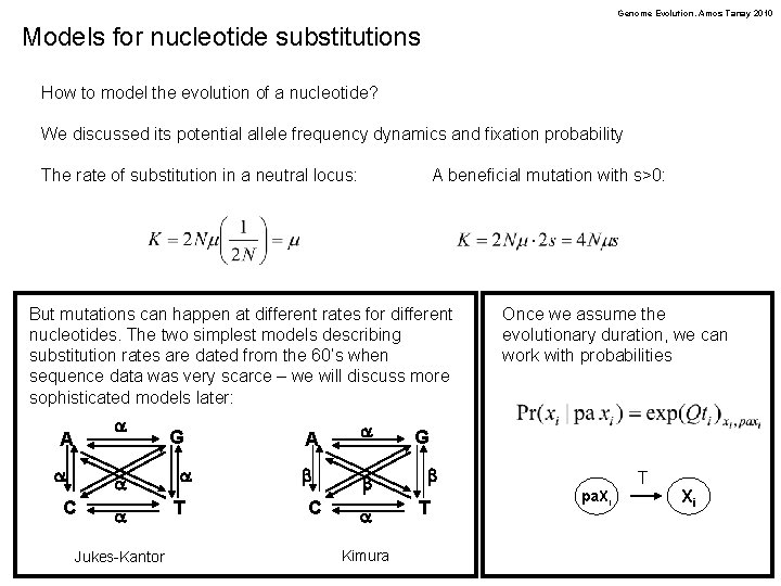 Genome Evolution. Amos Tanay 2010 Models for nucleotide substitutions How to model the evolution