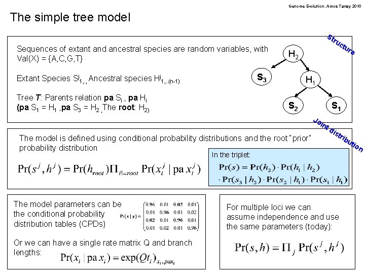 Genome Evolution. Amos Tanay 2010 The simple tree model St Sequences of extant and