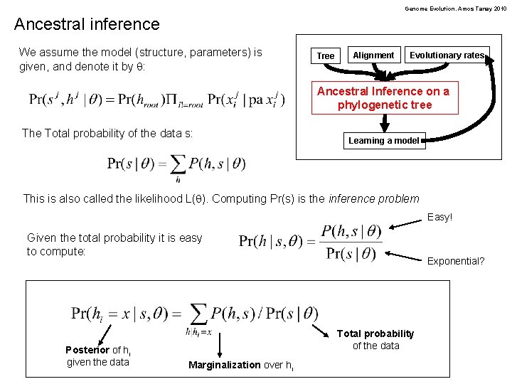 Genome Evolution. Amos Tanay 2010 Ancestral inference We assume the model (structure, parameters) is