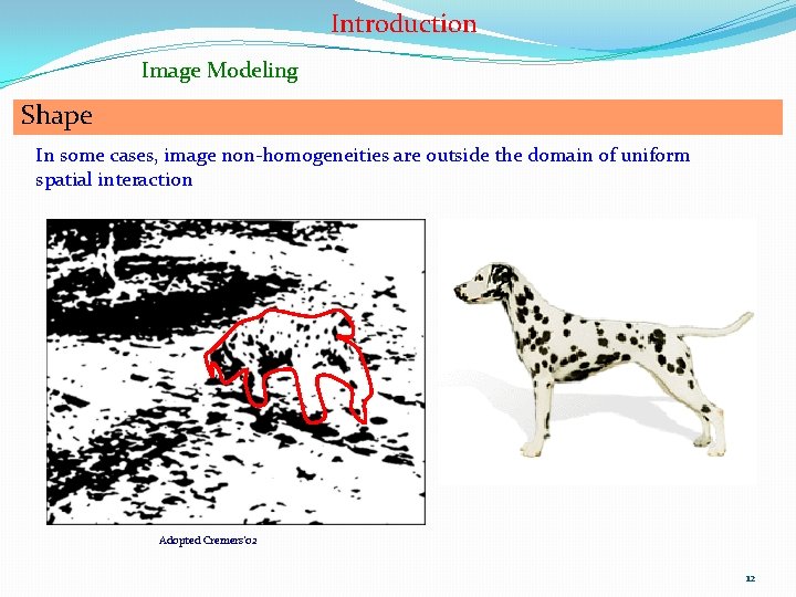 Introduction Image Modeling Shape In some cases, image non-homogeneities are outside the domain of