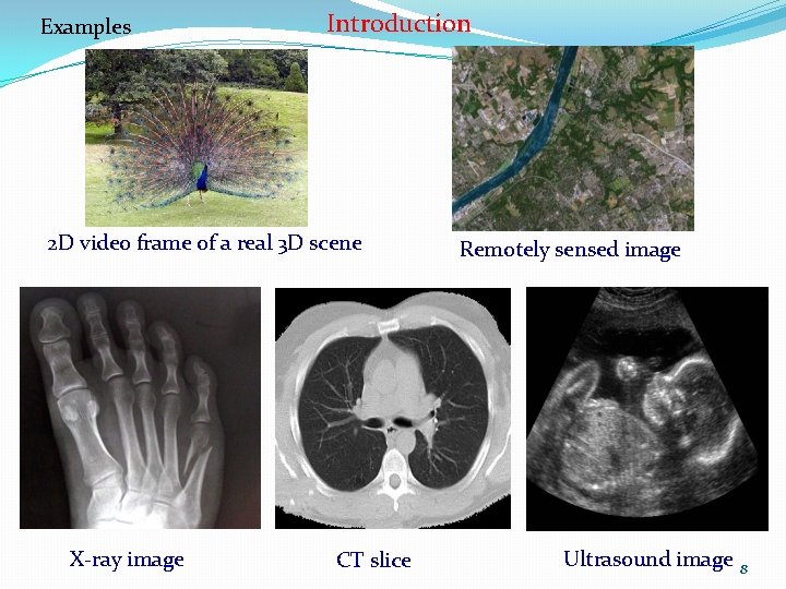 Examples Introduction 2 D video frame of a real 3 D scene X-ray image