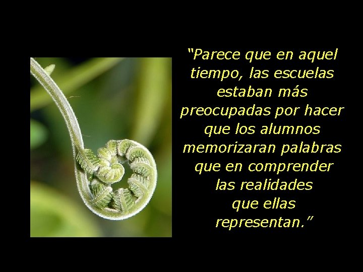 “Parece que en aquel tiempo, las escuelas estaban más preocupadas por hacer que los