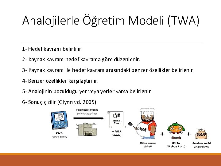 Analojilerle Öğretim Modeli (TWA) 1 - Hedef kavram belirtilir. 2 - Kaynak kavram hedef