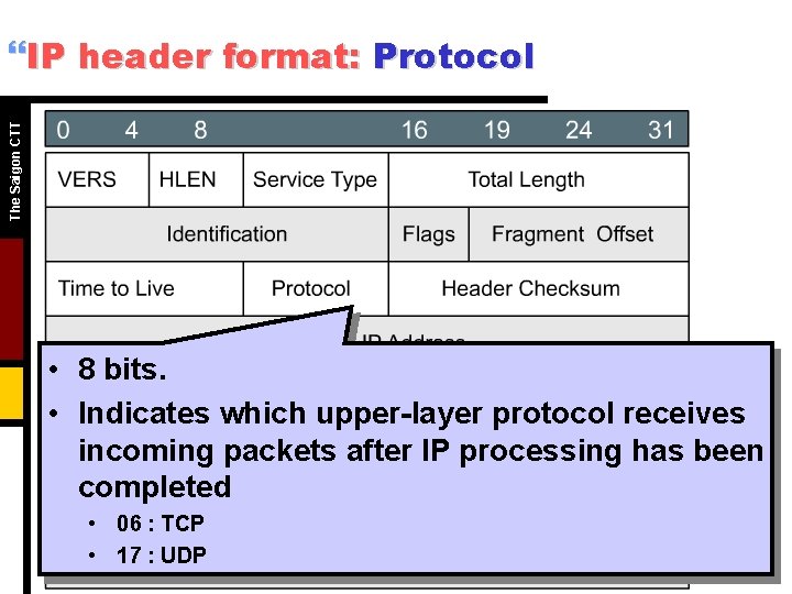 The Saigon CTT }IP header format: Protocol • 8 bits. • Indicates which upper-layer