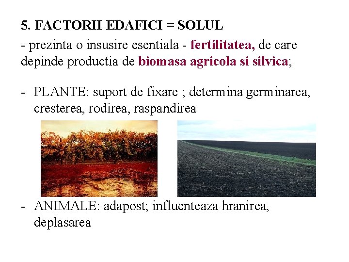 5. FACTORII EDAFICI = SOLUL - prezinta o insusire esentiala - fertilitatea, de care