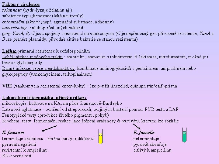 Faktory virulence: virulence želatinasa (hydrolyzuje želatinu aj. ) substance typu feromonu (láká neutrofily) kolonizační