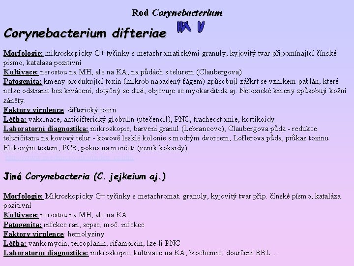 Rod Corynebacterium difteriae Morfologie: mikroskopicky G+ tyčinky s metachromatickými granuly, kyjovitý tvar připomínající čínské