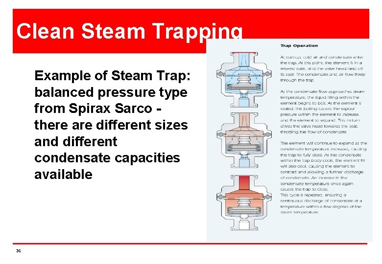 Clean Steam Trapping Example of Steam Trap: balanced pressure type from Spirax Sarco there