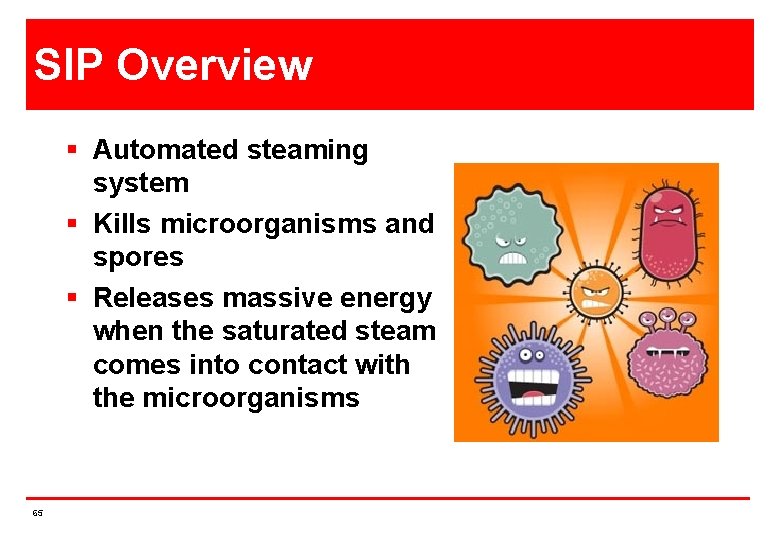 SIP Overview § Automated steaming system § Kills microorganisms and spores § Releases massive