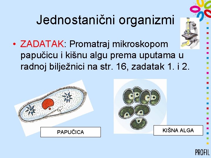 Jednostanični organizmi • ZADATAK: Promatraj mikroskopom papučicu i kišnu algu prema uputama u radnoj