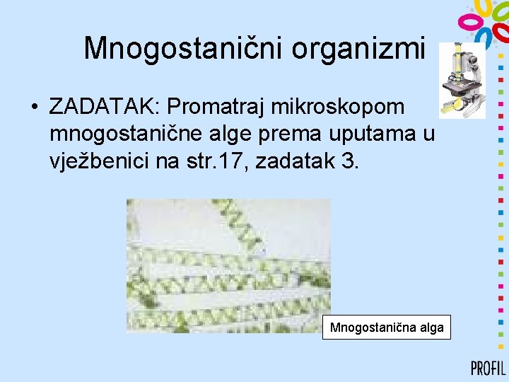 Mnogostanični organizmi • ZADATAK: Promatraj mikroskopom mnogostanične alge prema uputama u vježbenici na str.