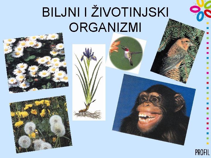 BILJNI I ŽIVOTINJSKI ORGANIZMI 