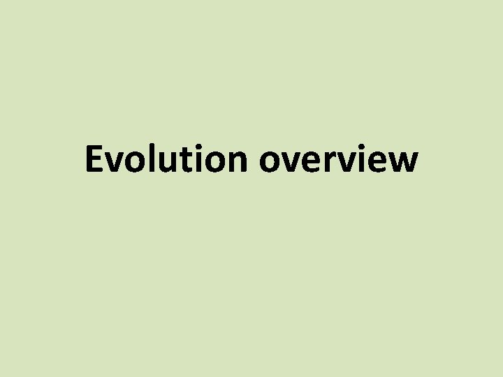Evolution overview 