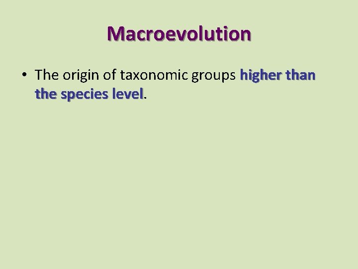 Macroevolution • The origin of taxonomic groups higher than the species level 