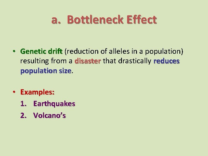 a. Bottleneck Effect • Genetic drift (reduction of alleles in a population) resulting from