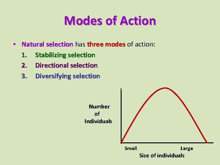 Modes of Action • Natural selection has three modes of action: 1. Stabilizing selection