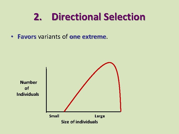 2. Directional Selection • Favors variants of one extreme Number of Individuals Small Large