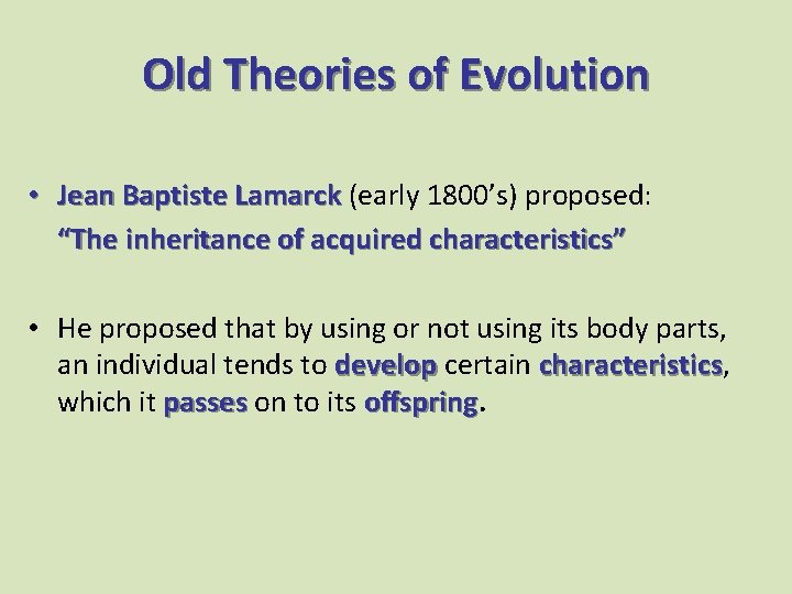 Old Theories of Evolution • Jean Baptiste Lamarck (early 1800’s) proposed: “The inheritance of