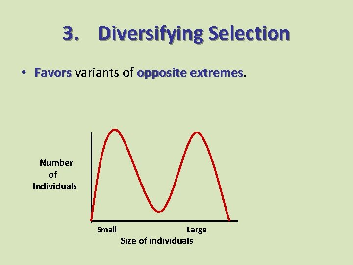 3. Diversifying Selection • Favors variants of opposite extremes Number of Individuals Small Large