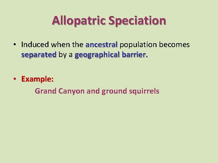 Allopatric Speciation • Induced when the ancestral population becomes separated by a geographical barrier.