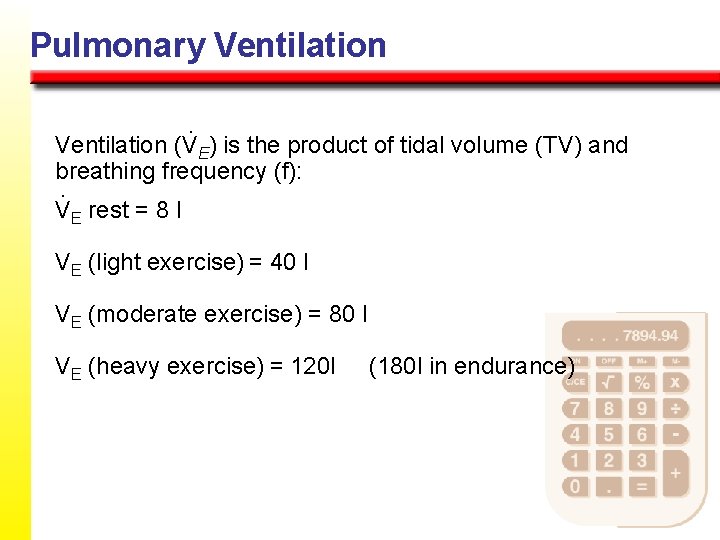 Pulmonary Ventilation (VE) is the product of tidal volume (TV) and breathing frequency (f):