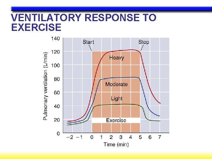 VENTILATORY RESPONSE TO EXERCISE 