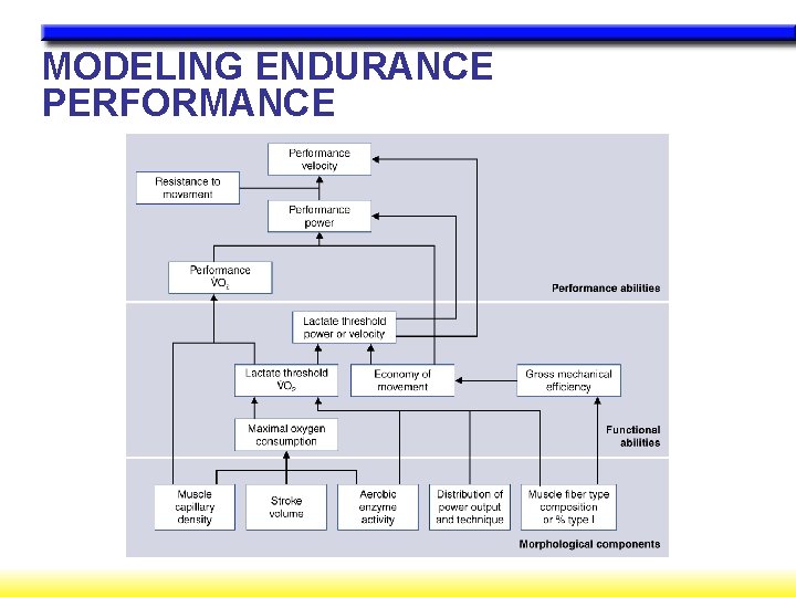 MODELING ENDURANCE PERFORMANCE 