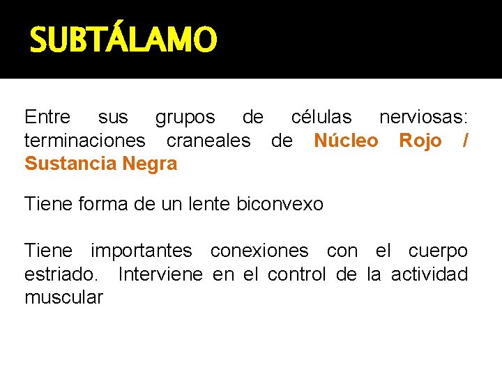 SUBTÁLAMO Entre sus grupos de células nerviosas: terminaciones craneales de Núcleo Rojo / Sustancia