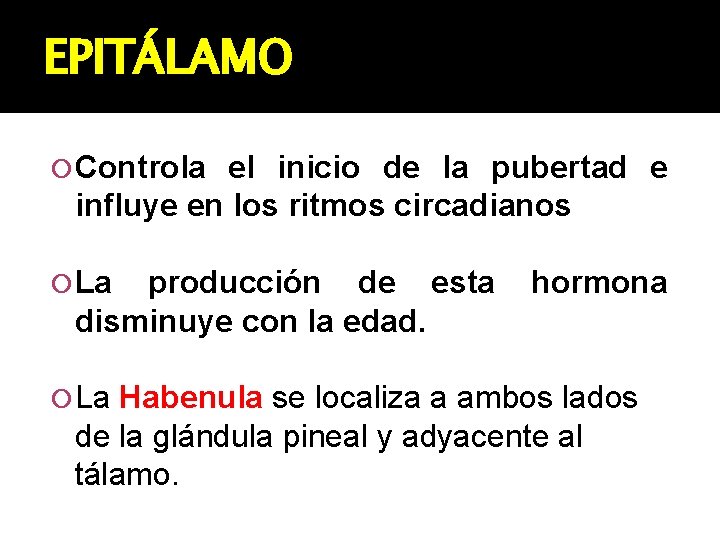 EPITÁLAMO Controla el inicio de la pubertad e influye en los ritmos circadianos La