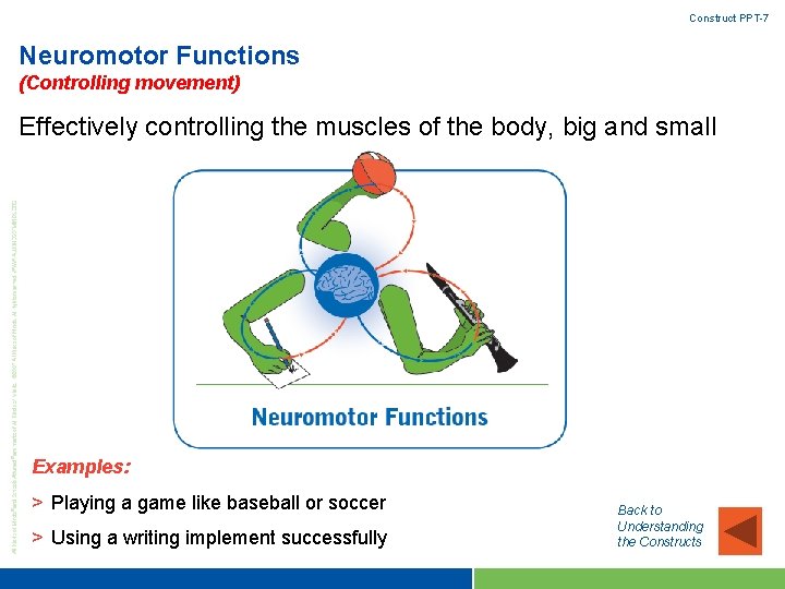 Construct PPT-7 Neuromotor Functions (Controlling movement) Effectively controlling the muscles of the body, big