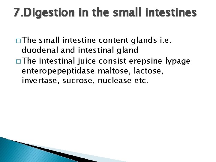 7. Digestion in the small intestines � The small intestine content glands i. e.