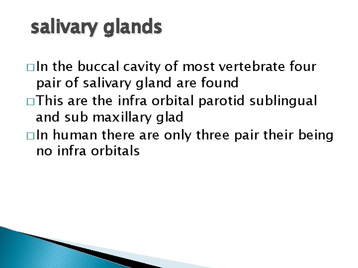 salivary glands � In the buccal cavity of most vertebrate four pair of salivary