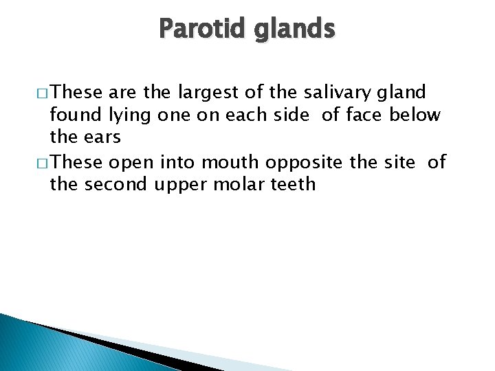 Parotid glands � These are the largest of the salivary gland found lying one