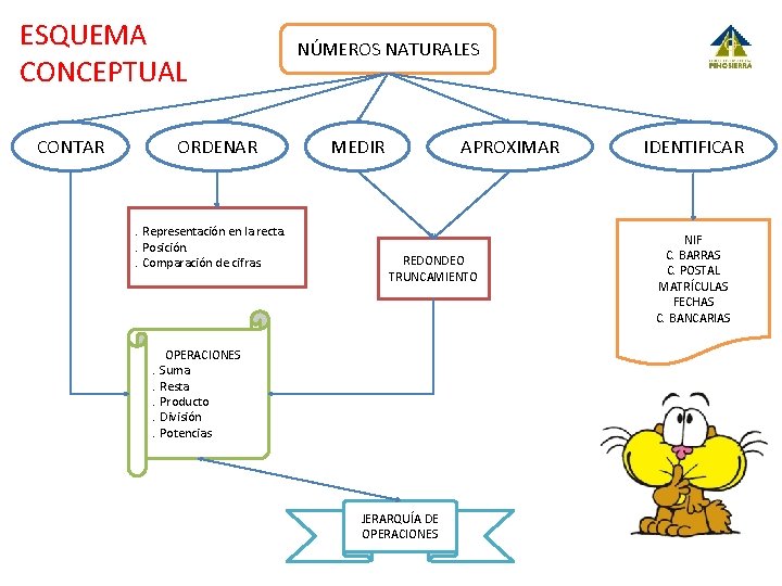 ESQUEMA CONCEPTUAL CONTAR ORDENAR . Representación en la recta. . Posición. . Comparación de